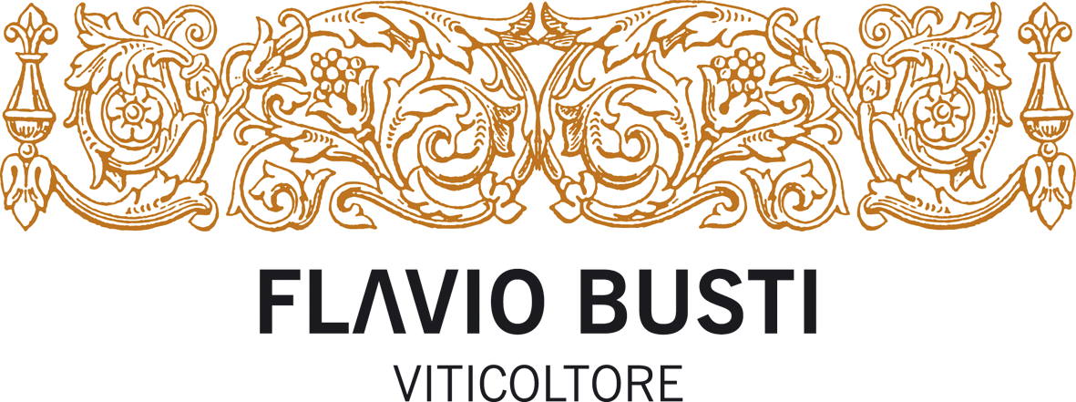 Flavio Busti