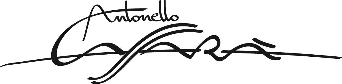 Grillo 2007