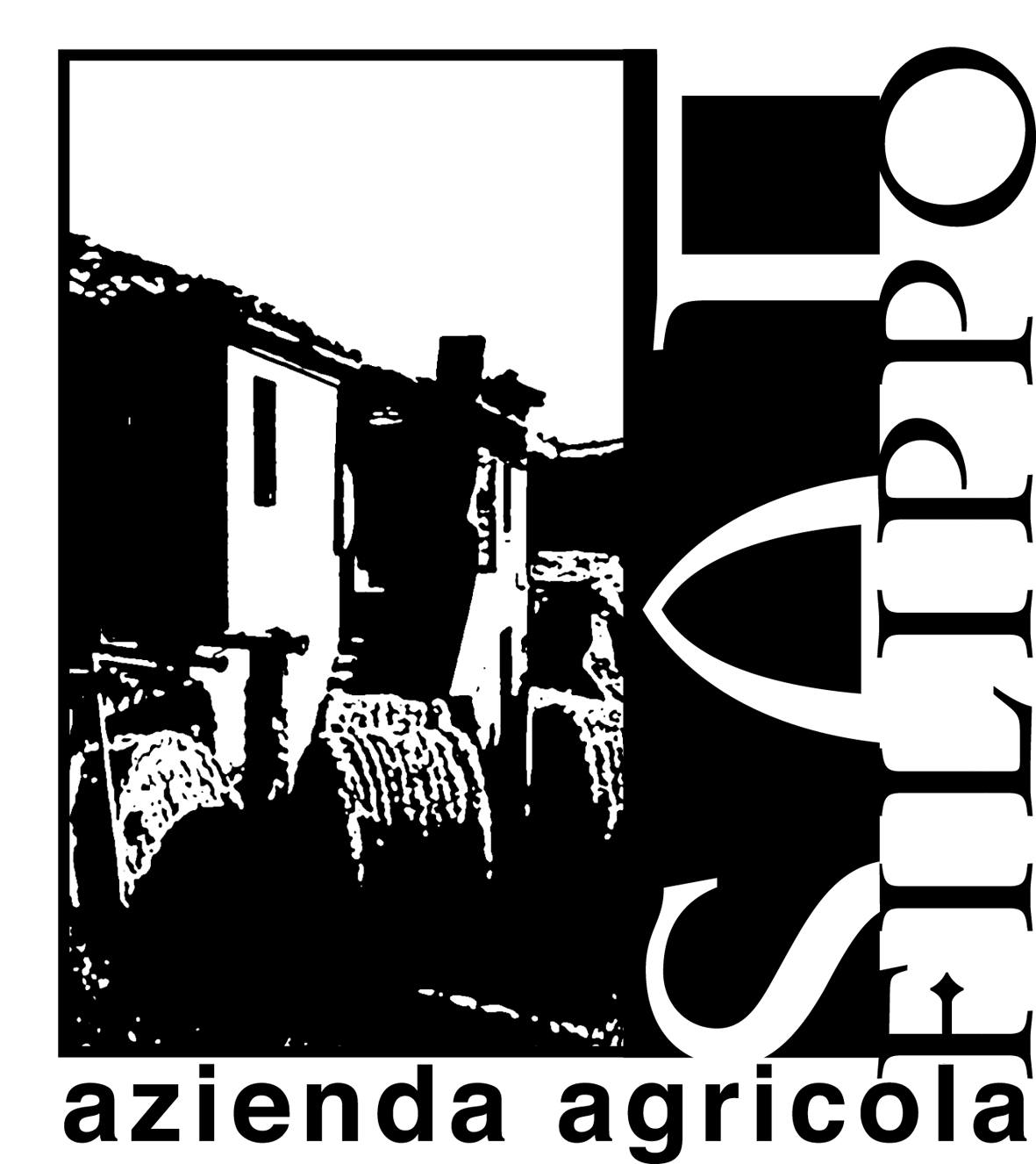 Falerio 2007