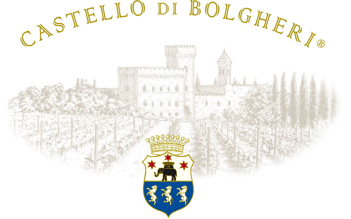 Bolgheri Superiore 2007