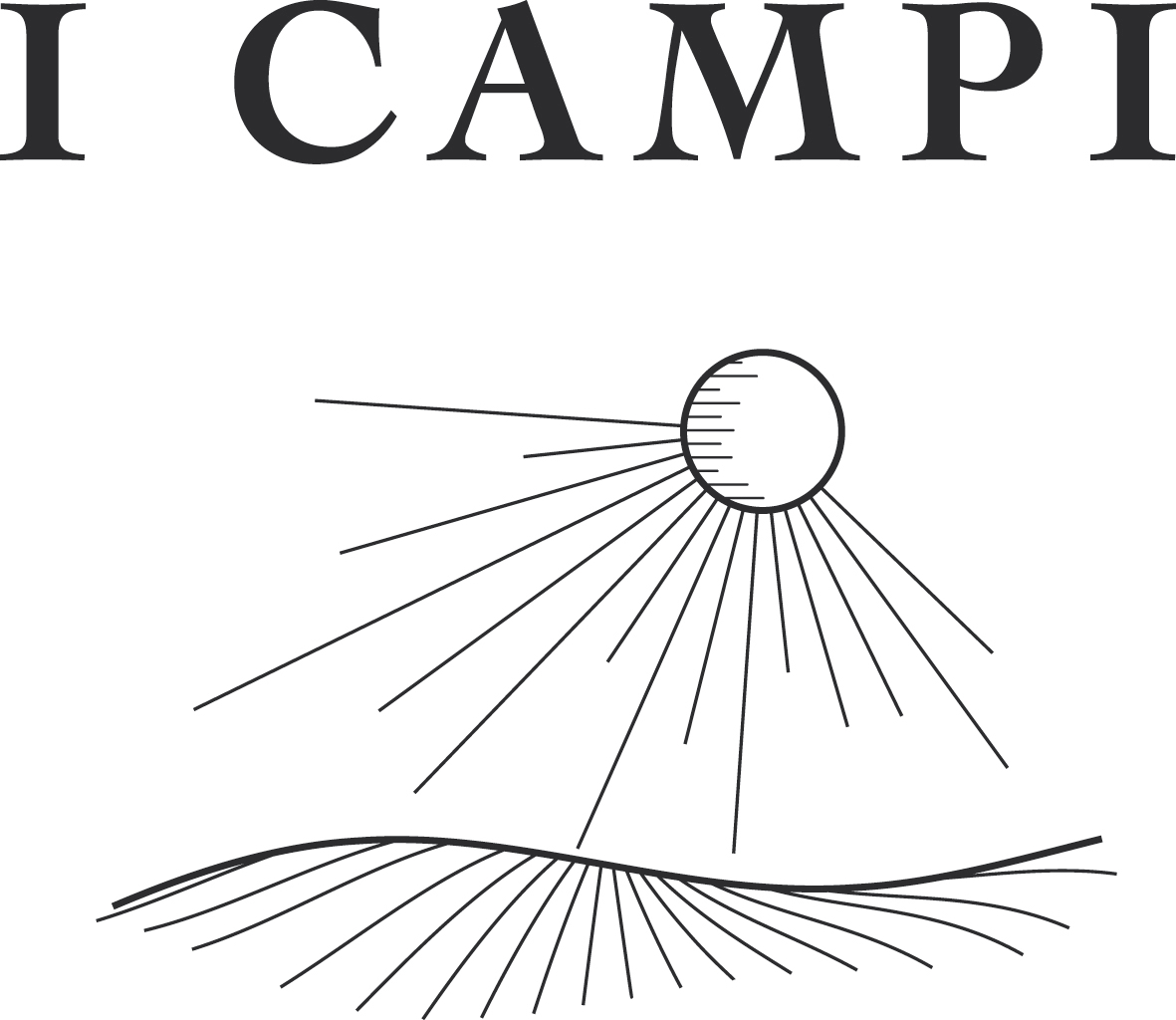 Valpolicella Ripasso Superiore Campo Ciotoli 2012