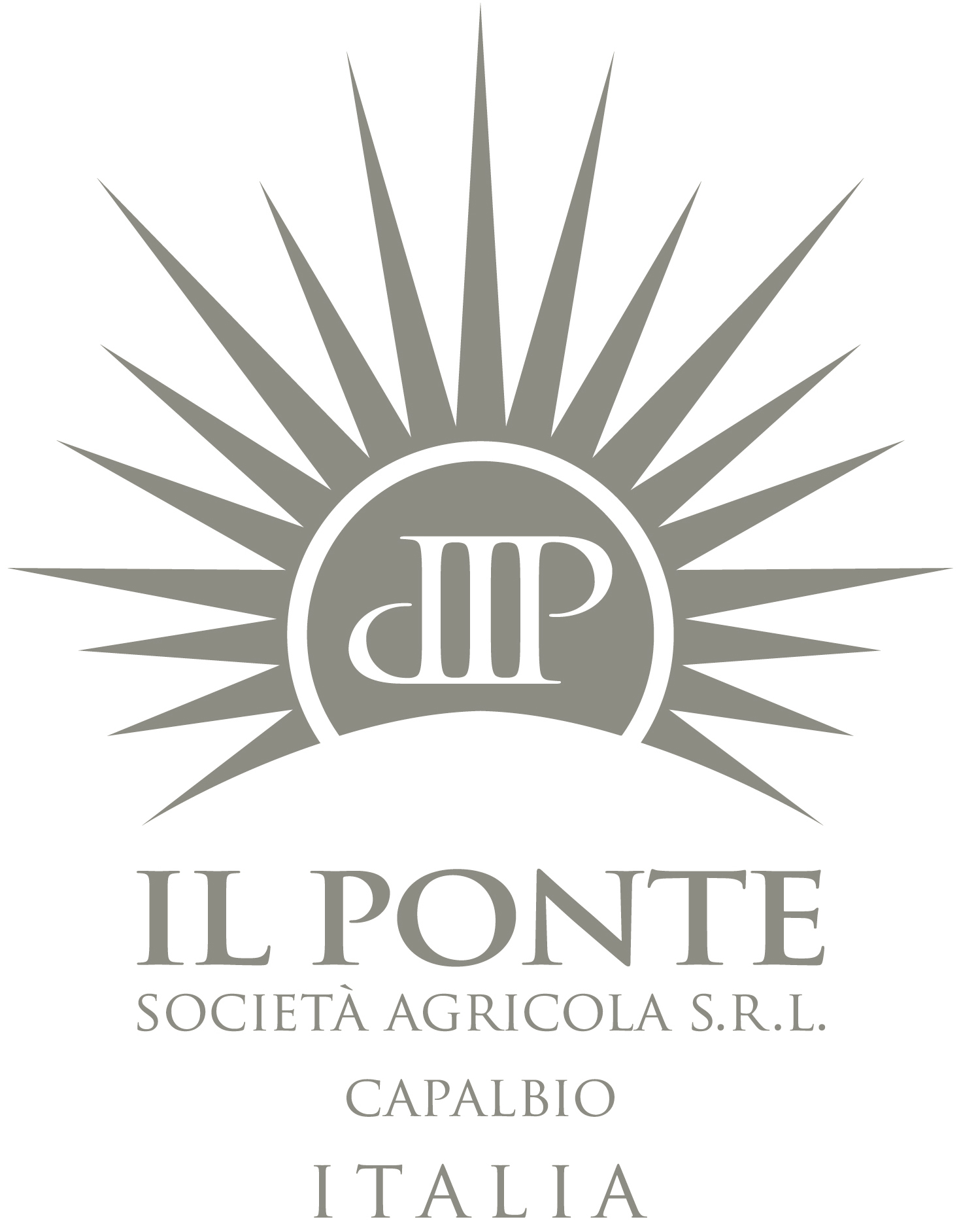 Rosé Spumante Dry 2017