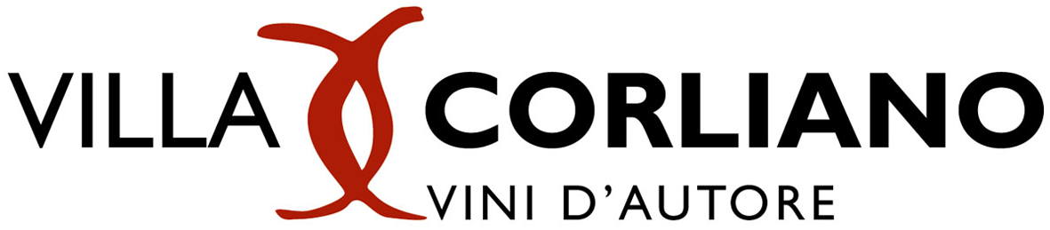 Briccole Chianti Colli Fiorentini 2007
