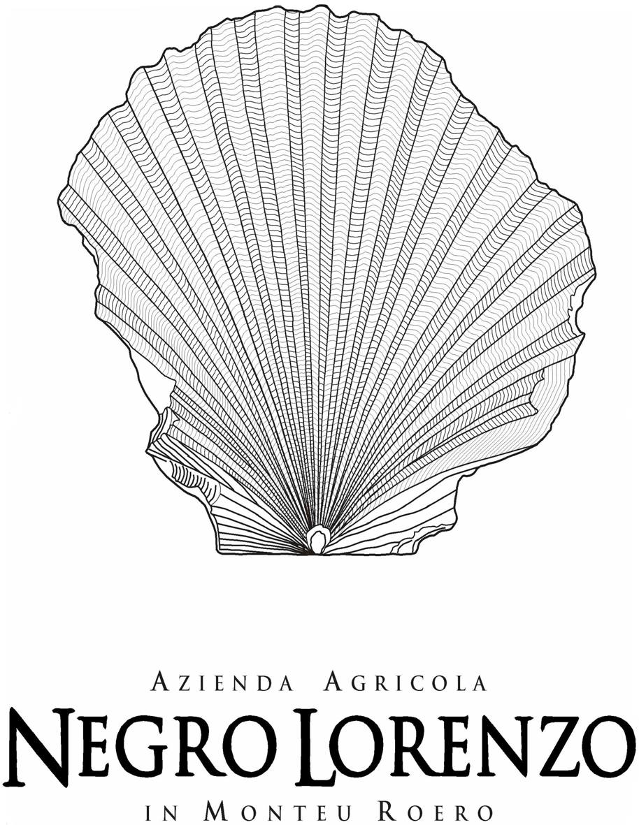 Nebbiolo Langhe 2008