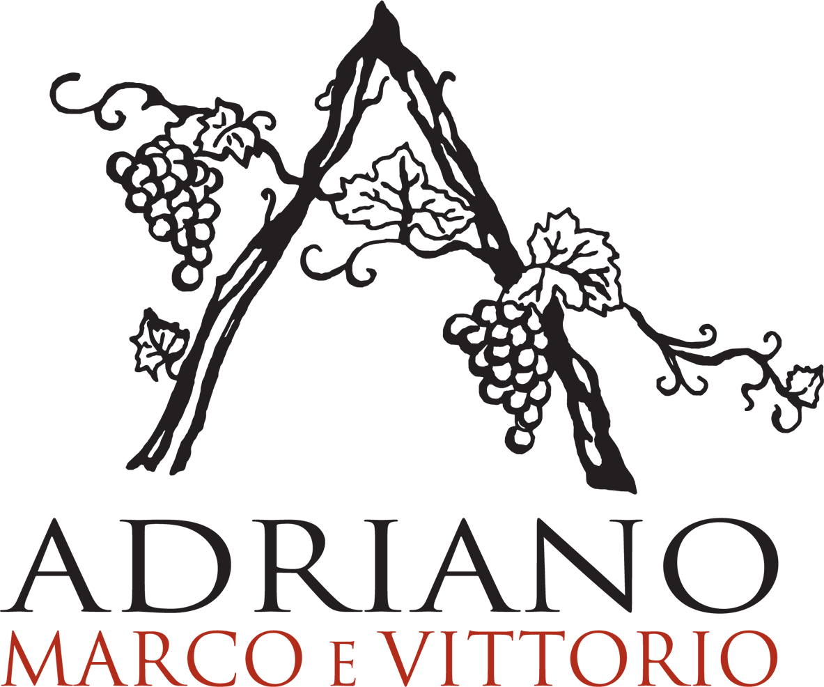 Nebbiolo Langhe 2009