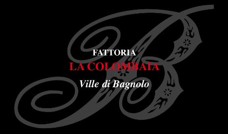 La Colombaia Ville di Bagnolo