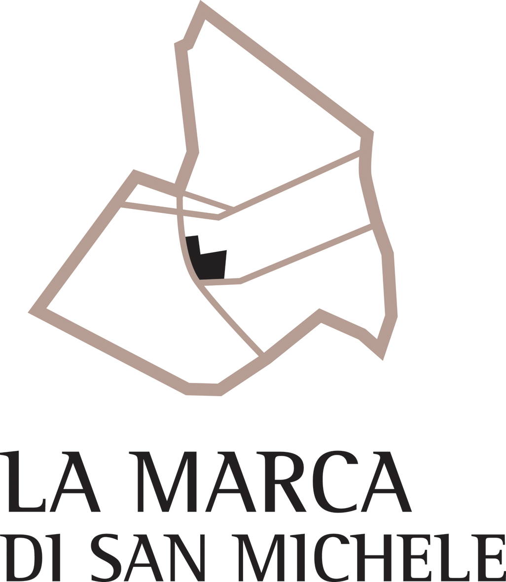 La Marca di San Michele