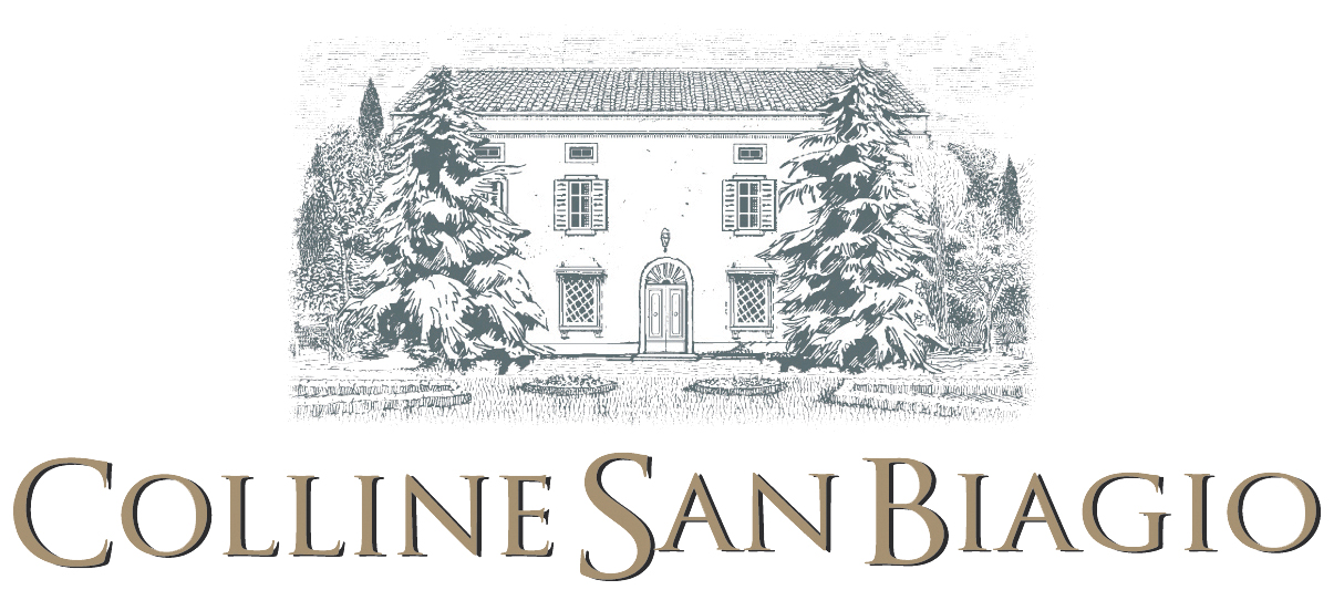 Balé Rosato 2016