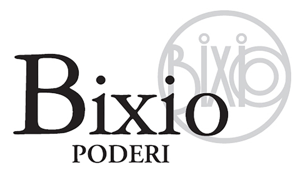 Valpolicella Ripasso Bixio Poderi 2008