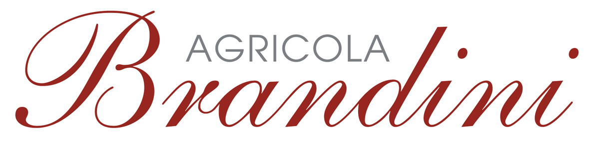 Barolo Brandini 2009