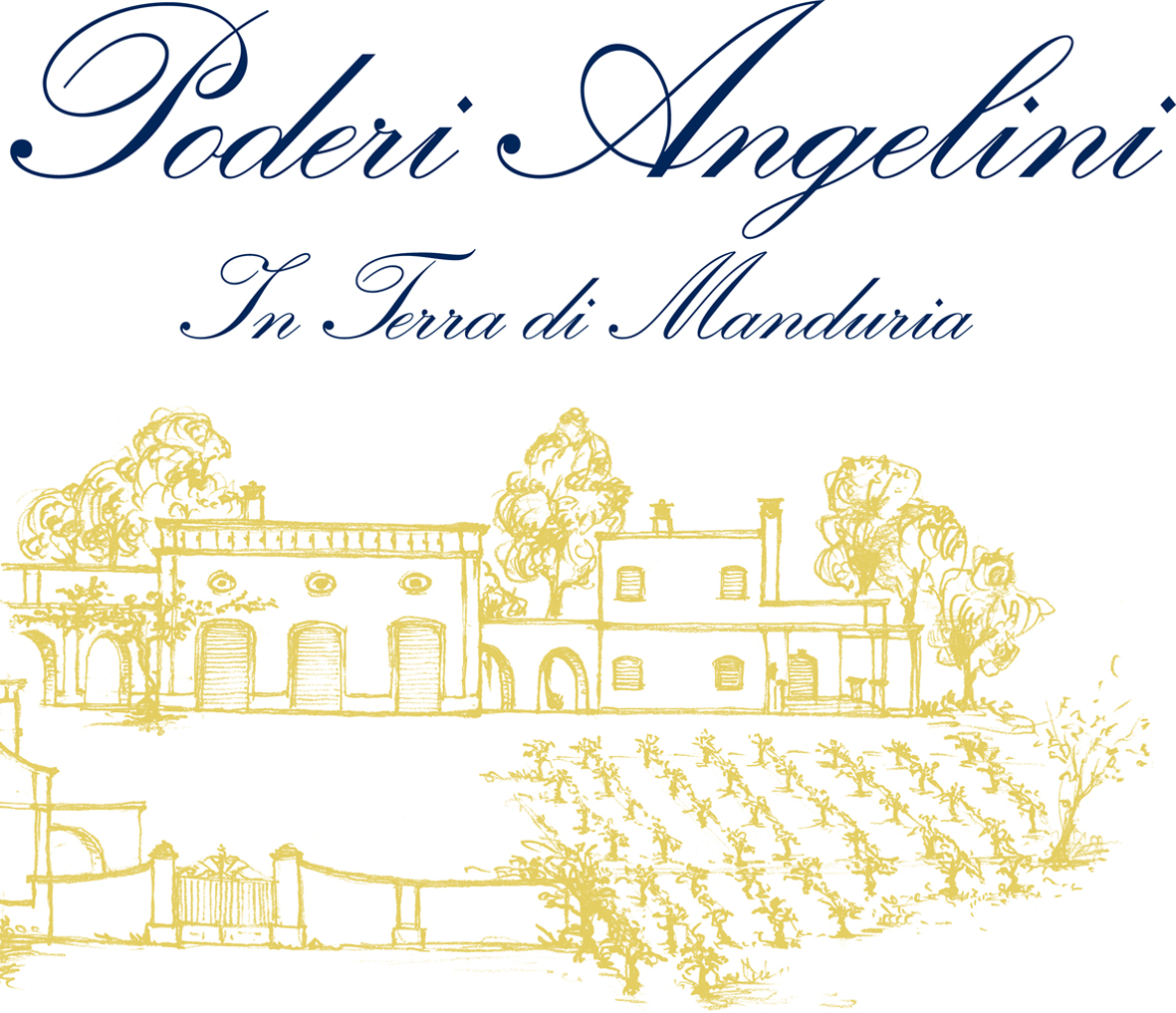 Poderi Angelini in Terra di Manduria