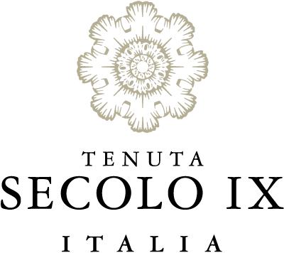 Montepulciano D' Abruzzo Doc 2017