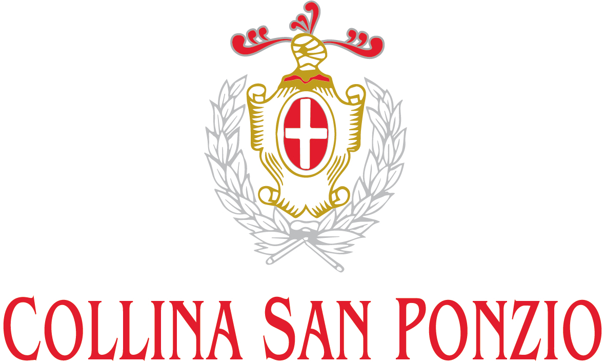 Dolcetto d'Alba 2016