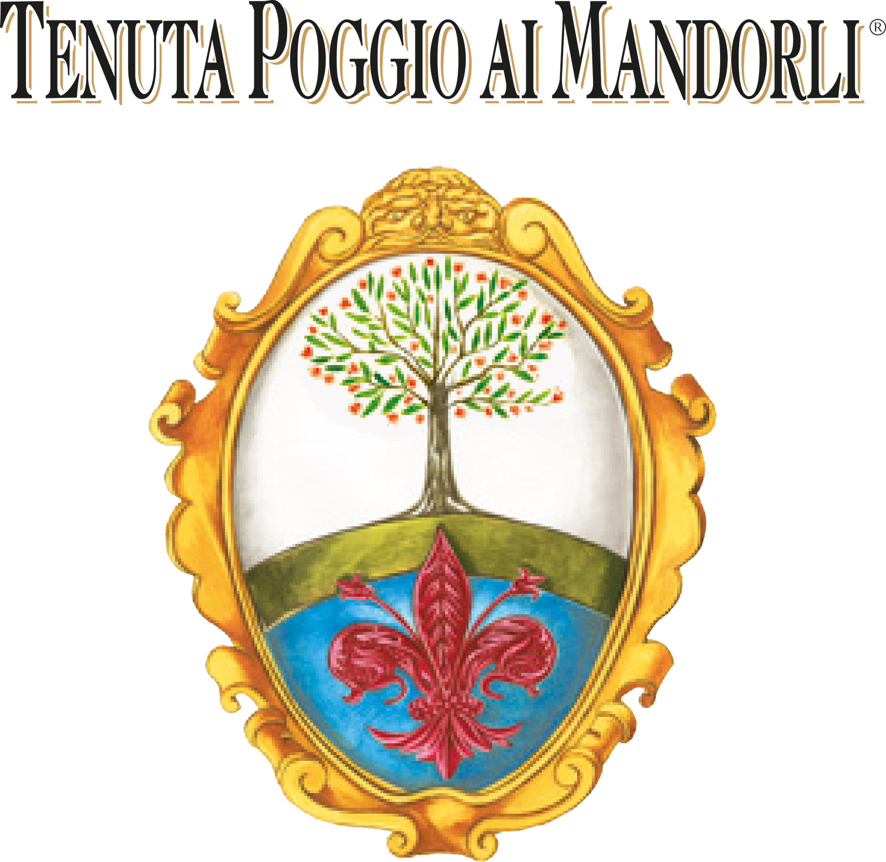 Sangiovese Toscana 2008