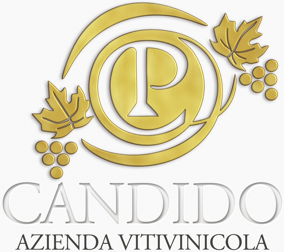 Azienda Vitivinicola Candido