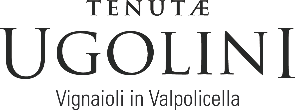 Valpolicella Classico 2013