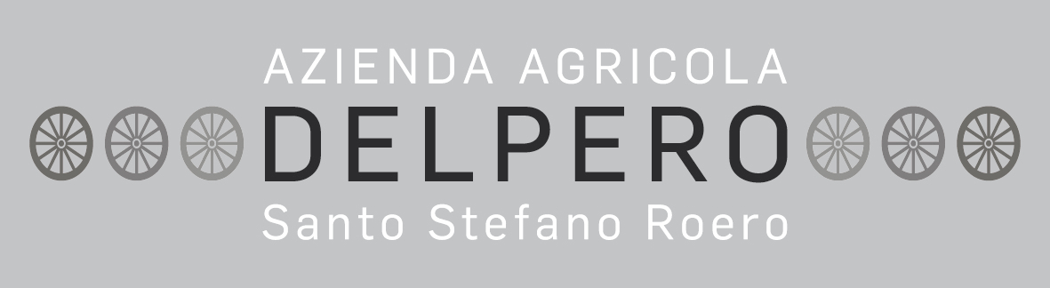 Barbera d'Alba 2012