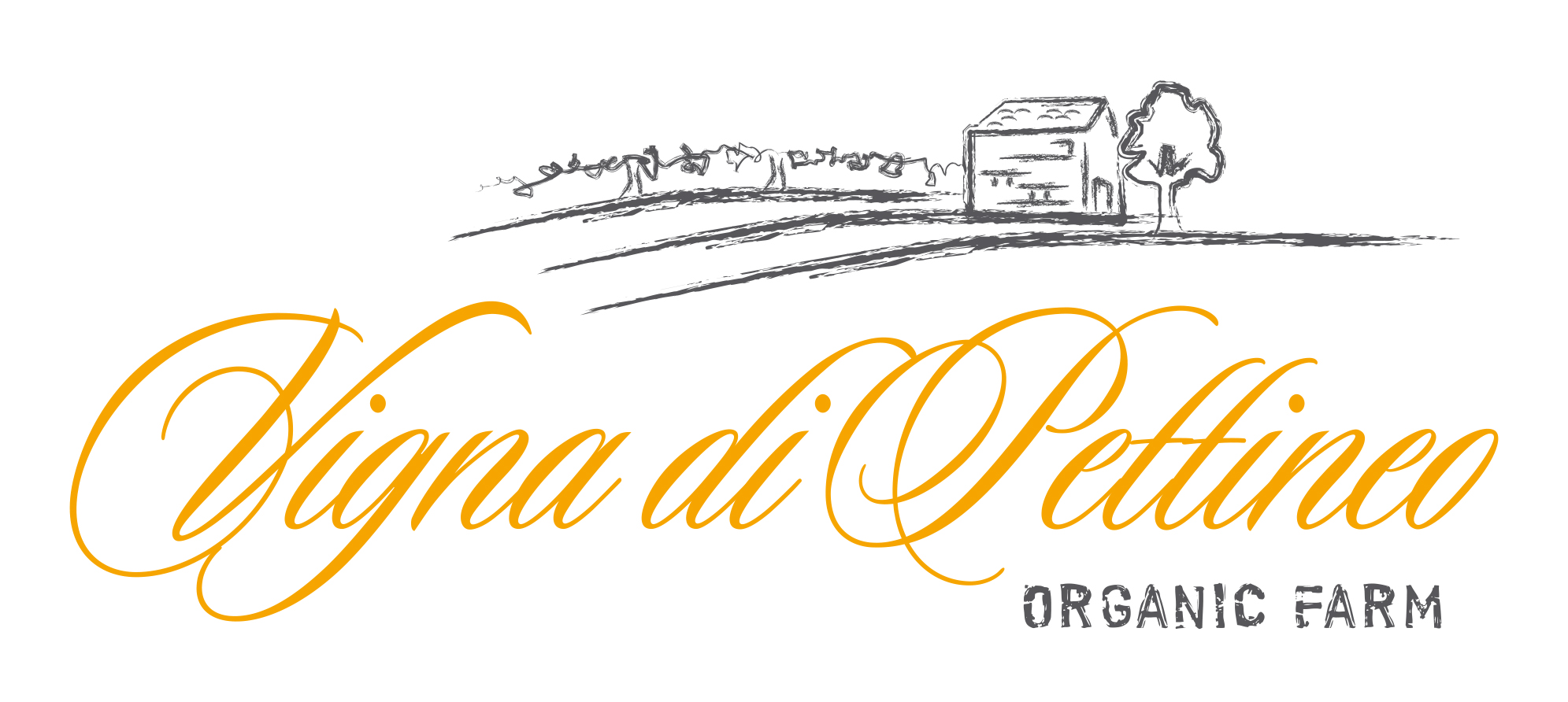 Vigna di Pettineo