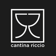 Fiano di Avellino 2020
