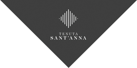 Tenuta Sant'Anna
