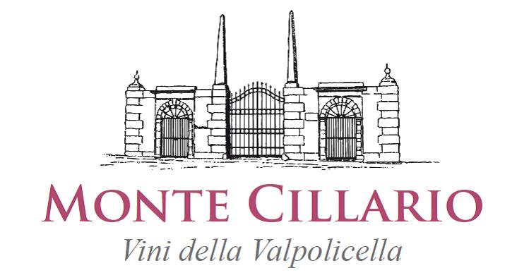 Euphoria Valpolicella Superiore 2020