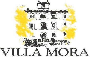 Montefalco Rosso Riserva 2014