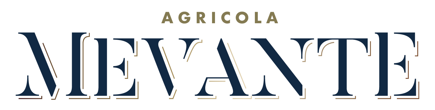 Montefalco Rosso 2023