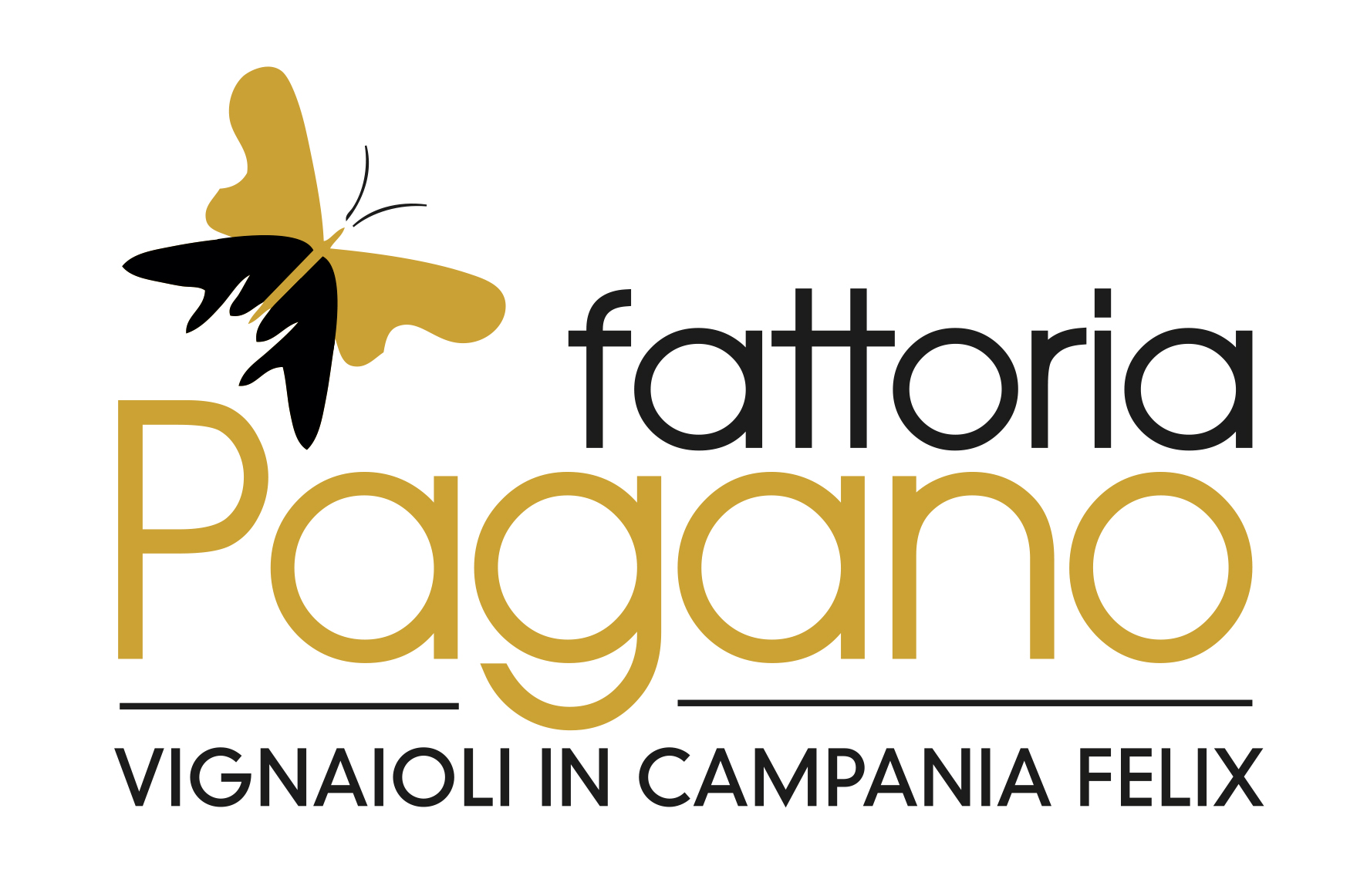 Greco di Tufo 2019