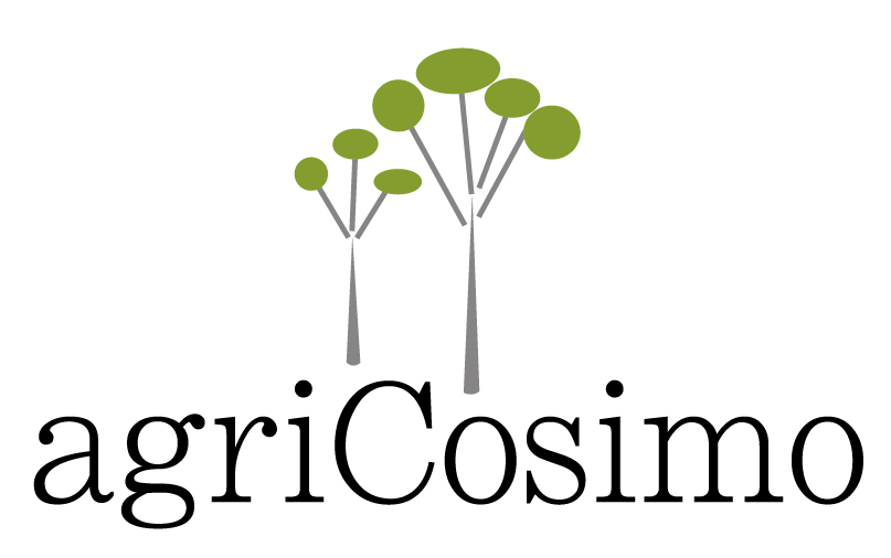 Vi' Cerasuolo d'Abruzzo 2018