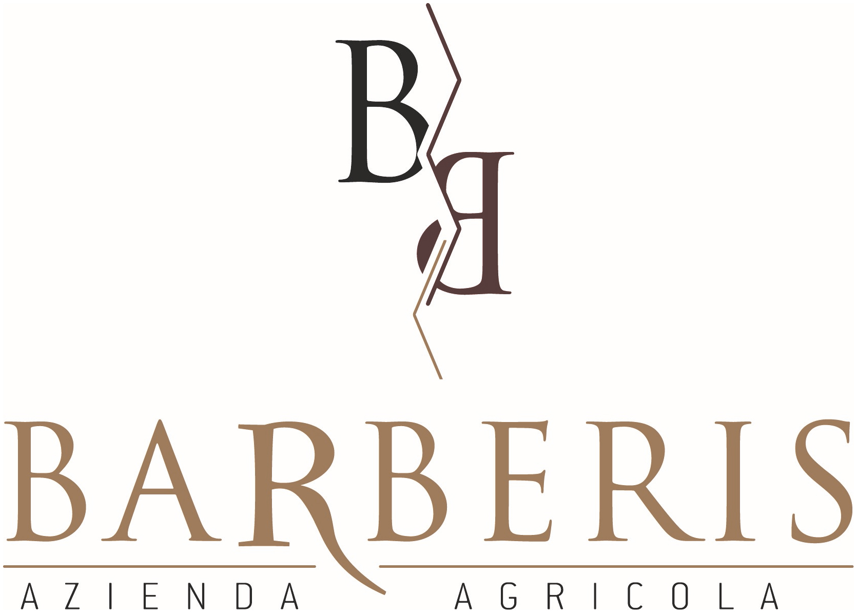 Barbera d'Asti Superiore 2018