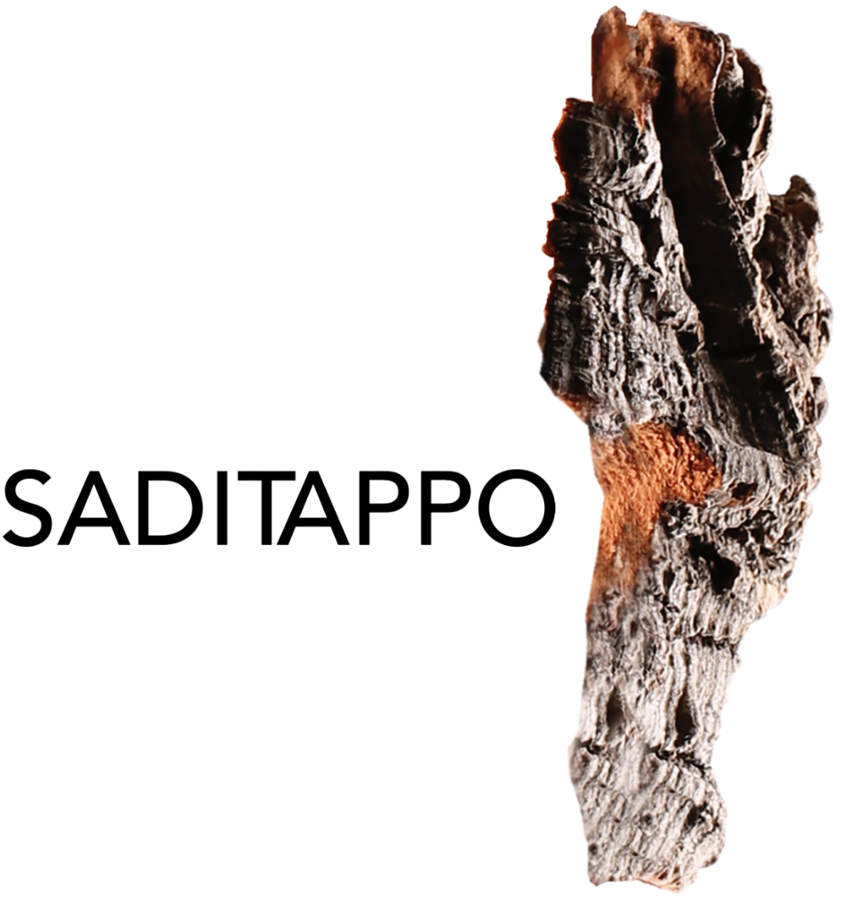Saditappo