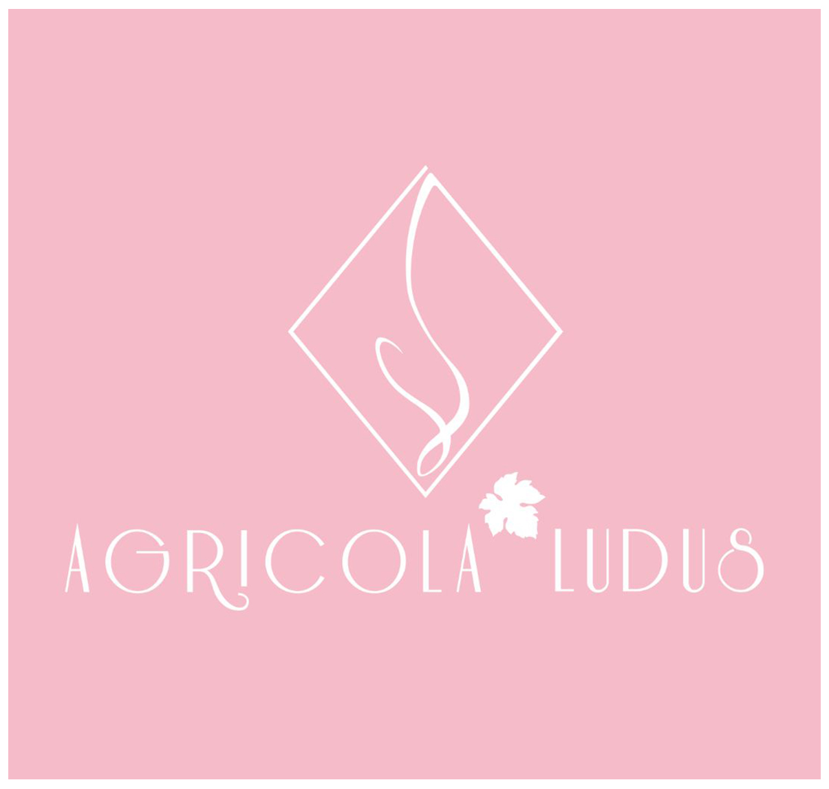Agricola Ludus